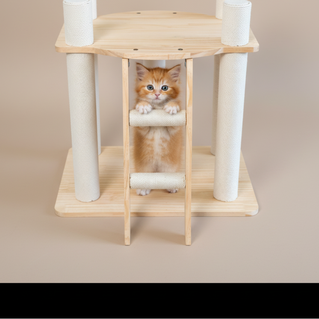 Arbre à Chat Design en Bois -WOOD HOUSE
