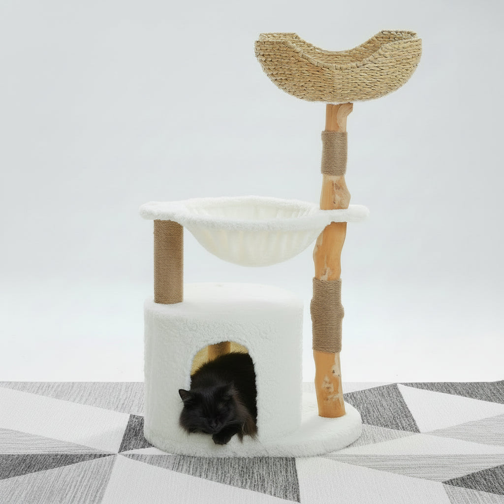 Arbre à Chat en Bois -WOODY