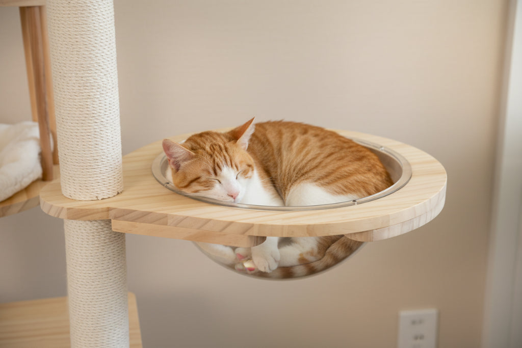Arbre à Chat Design en Bois -WOOD HOUSE