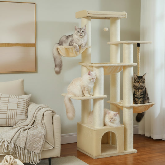 Arbre à Chat Maine Coon -FIFTY