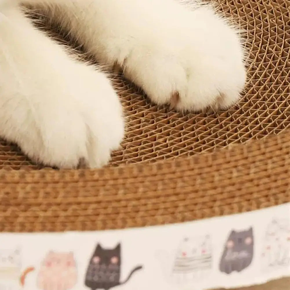 Griffoir pour chat en carton ondulé rond & ovale