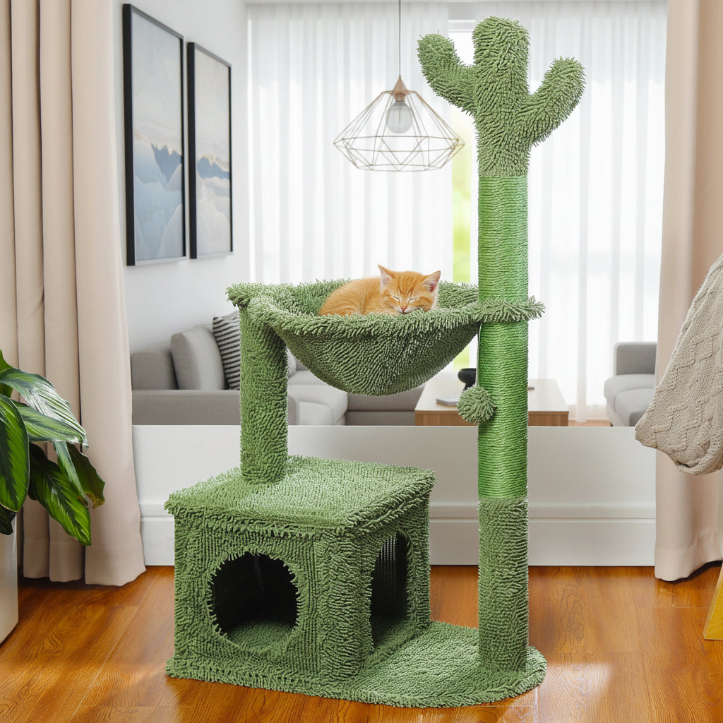 Arbre à Chat petit -CACTUS