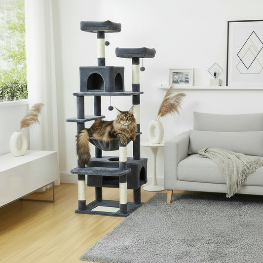 Arbre à Chat Maine coon -MULTIPASS