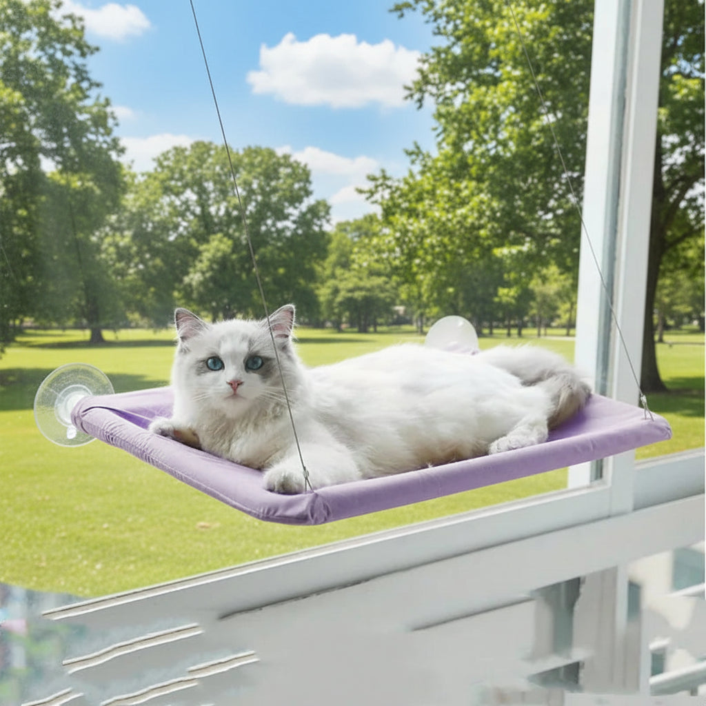 Hamac pour chat suspendu – Siège fenêtre confortable