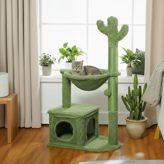 Arbre à Chat petit -CACTUS