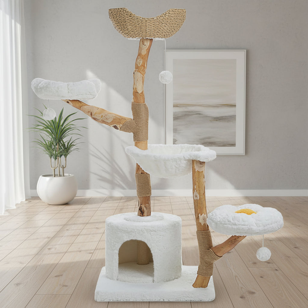Arbre à Chat Design -CLASSY WOOD