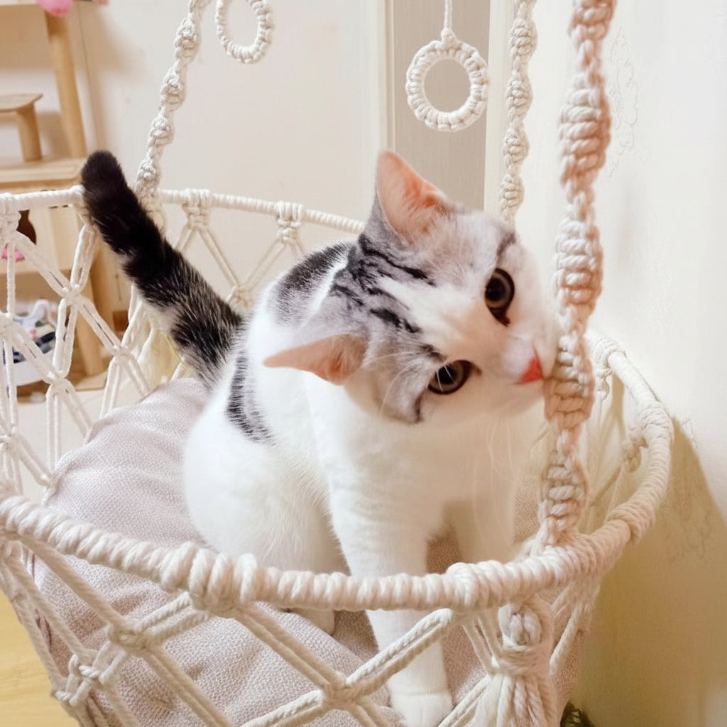 Hamac pour Chat en Corde de Coton Tressée à la Main | Balancelle Suspendue