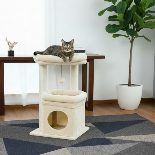 Arbre à Chat petit -COSY